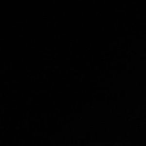 Meet your Posher, Joyce